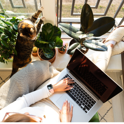 women sitting in the sun with a laptop and a cat.
